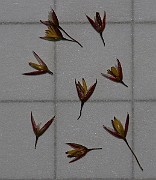 IMG_9968