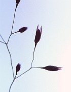 IMG_9970