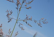 IMG_5010