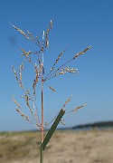 IMG_9746