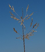 IMG_9748