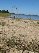 IMG_9753