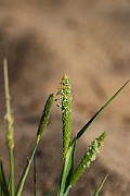 IMG_0804
