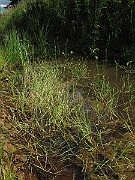IMG_9248