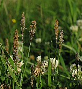 IMG_1552