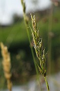 IMG_3784