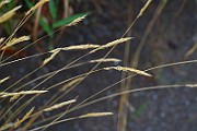 IMG_6685