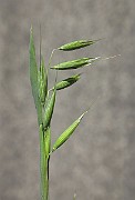 IMG_1815