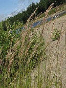 IMG_1934