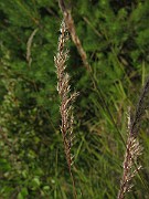IMG_1935
