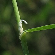 IMG_2479