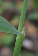 IMG_5020