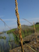 IMG_4992