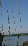 IMG_4995