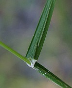 IMG_3520