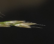 IMG_0577