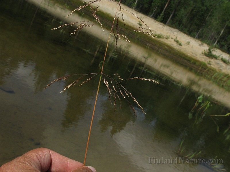 IMG_2117.jpg