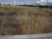 IMG_0548