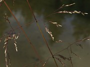 IMG_2118