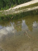IMG_2119