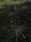 IMG_2448