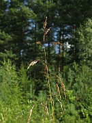 IMG_2456