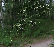 IMG_5064b