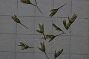 IMG_9979