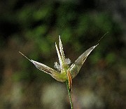 IMG_4516