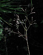 IMG_5602