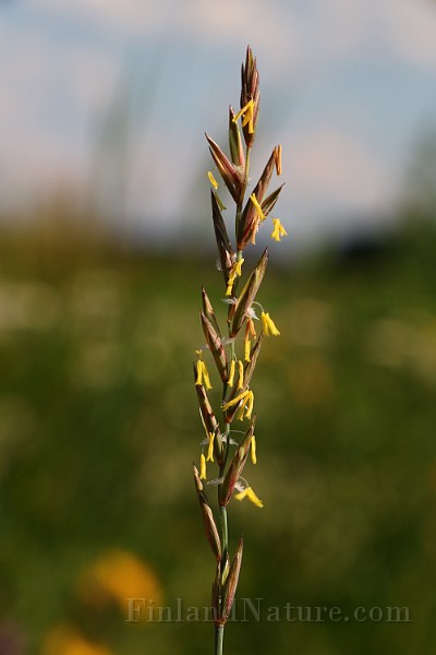 IMG_5772.JPG
