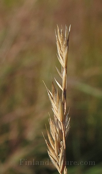 IMG_0050.JPG