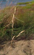 IMG_0049