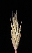 IMG_0107