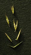 IMG_4566