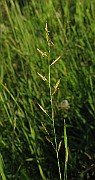 IMG_1556