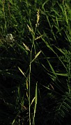 IMG_1557