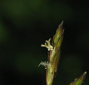 IMG_1559