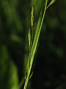 IMG_1561