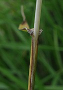 IMG_4852