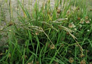 IMG_4861