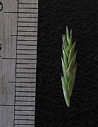 IMG_9060