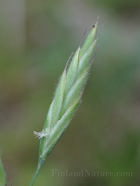 IMG_8339.JPG