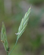 IMG_8337