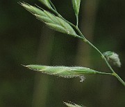 IMG_8348