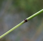IMG_8349