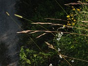 IMG_4736