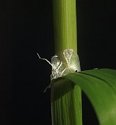 IMG_1300