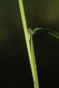 IMG_1302