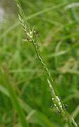 IMG_6409